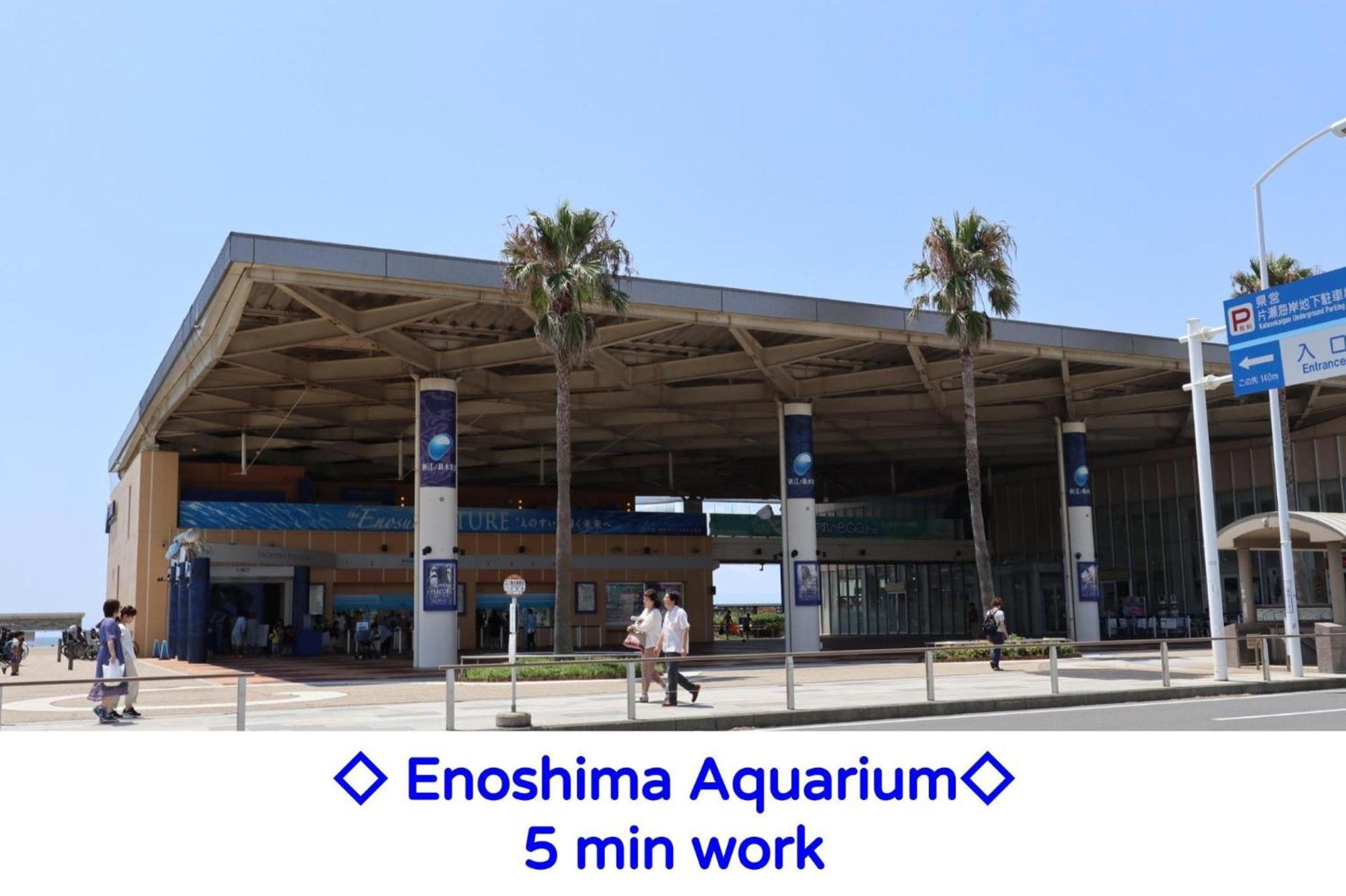 Enoshima Guest House 134 / Vacation Stay 60850 藤沢市 エクステリア 写真